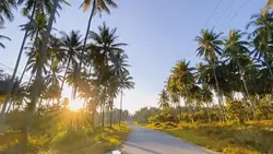 Cinematic lagu india