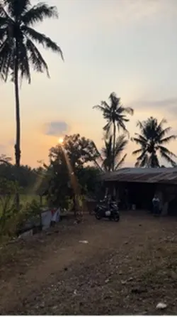Maaf