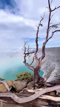 3 video aesthetic hd