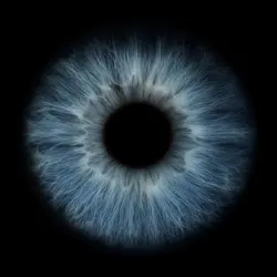 Hunter eyes.