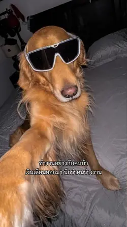 ทำงานอย่างกับคนบ้า