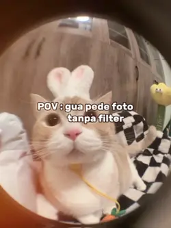 POV: gua pede Poto