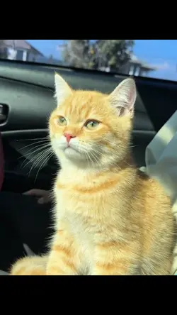 คำคม ไลฟ์โฟโต้