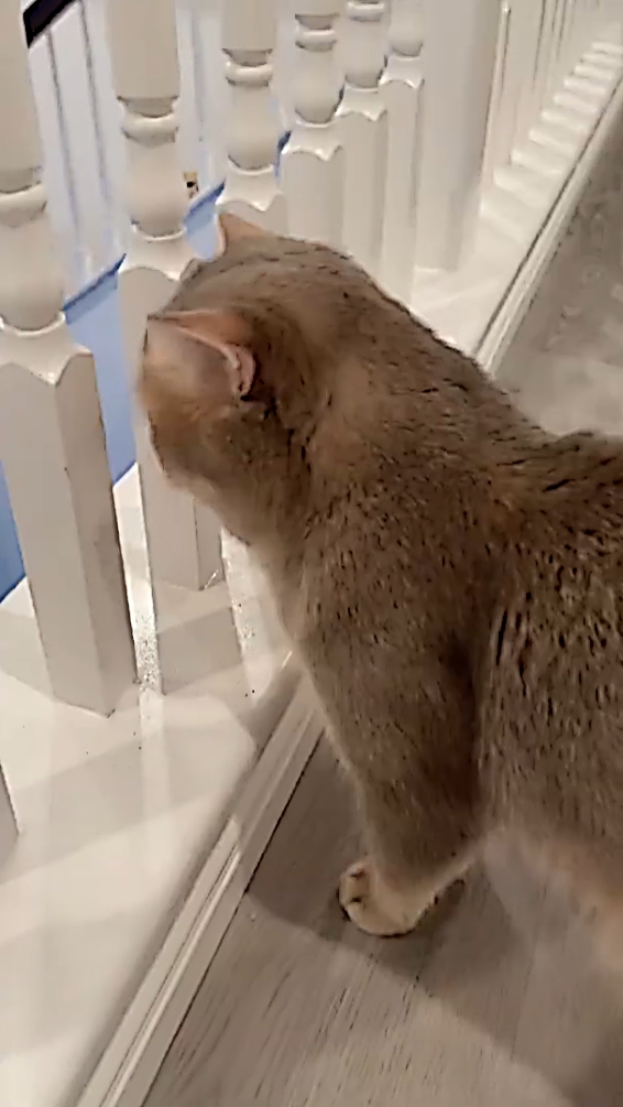 dulu putus itu maumu