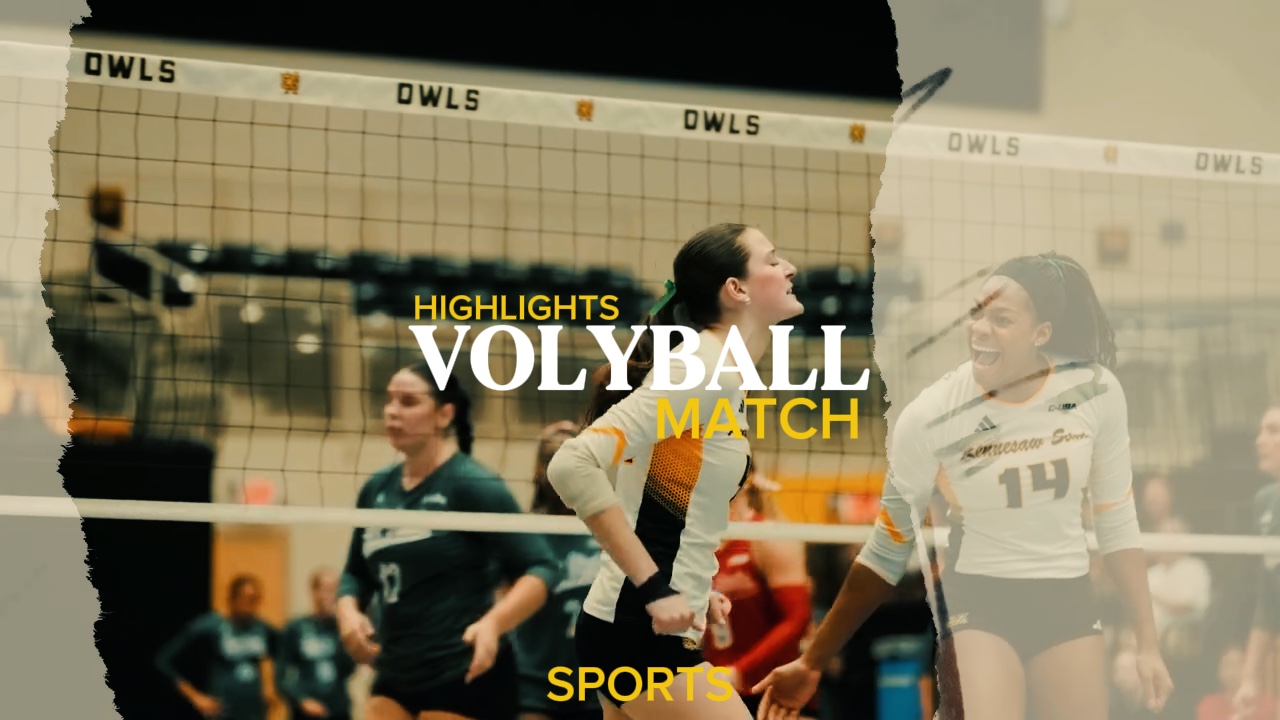 Highligts de voleibol