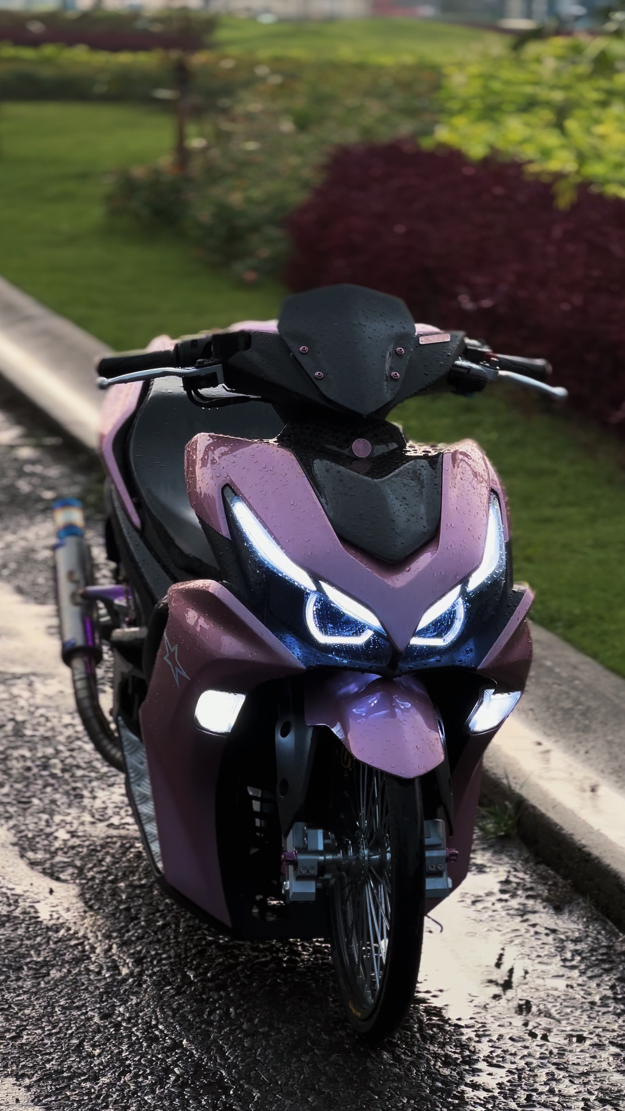 Cover Picture