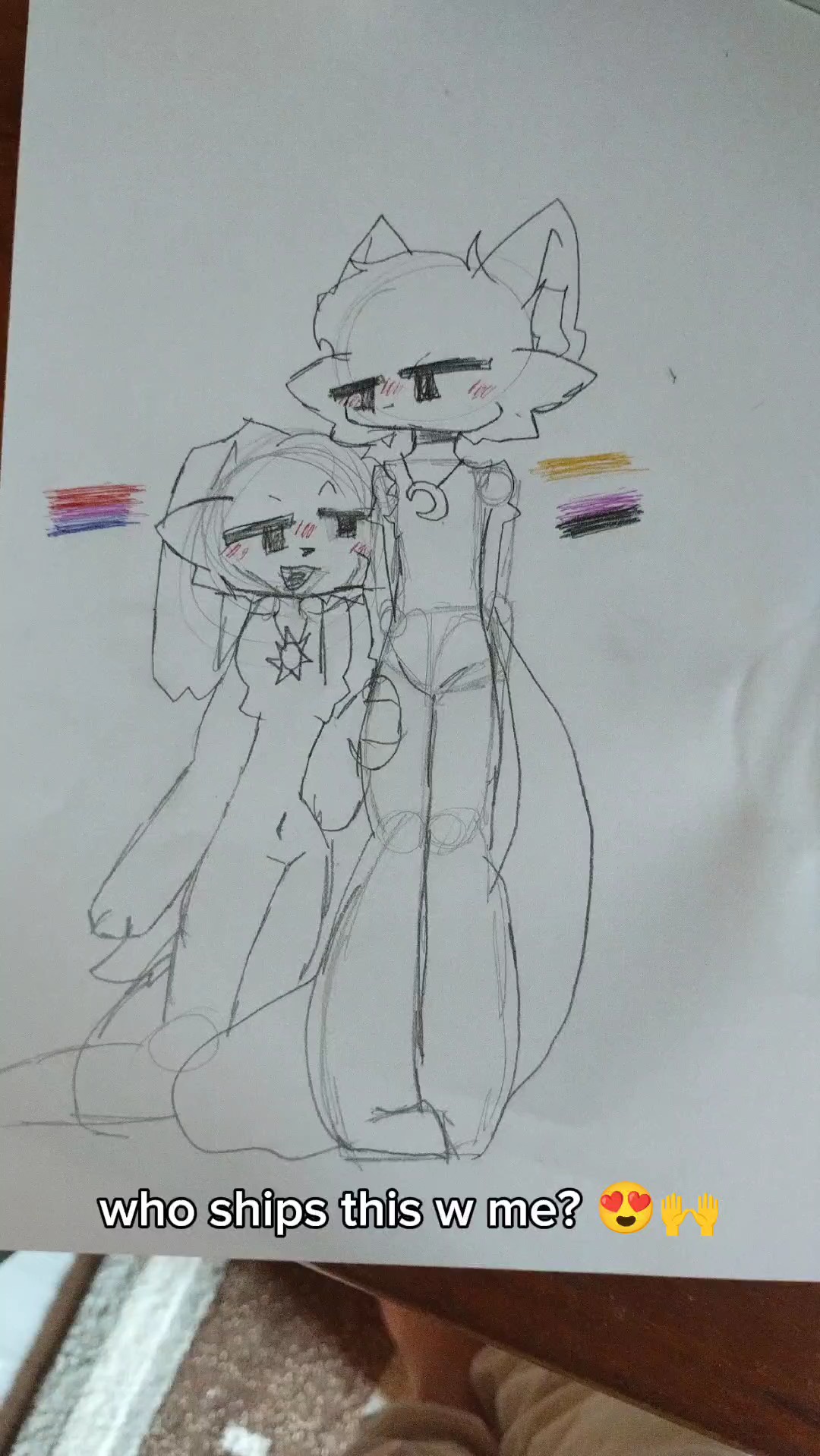 DogDay x CatNap