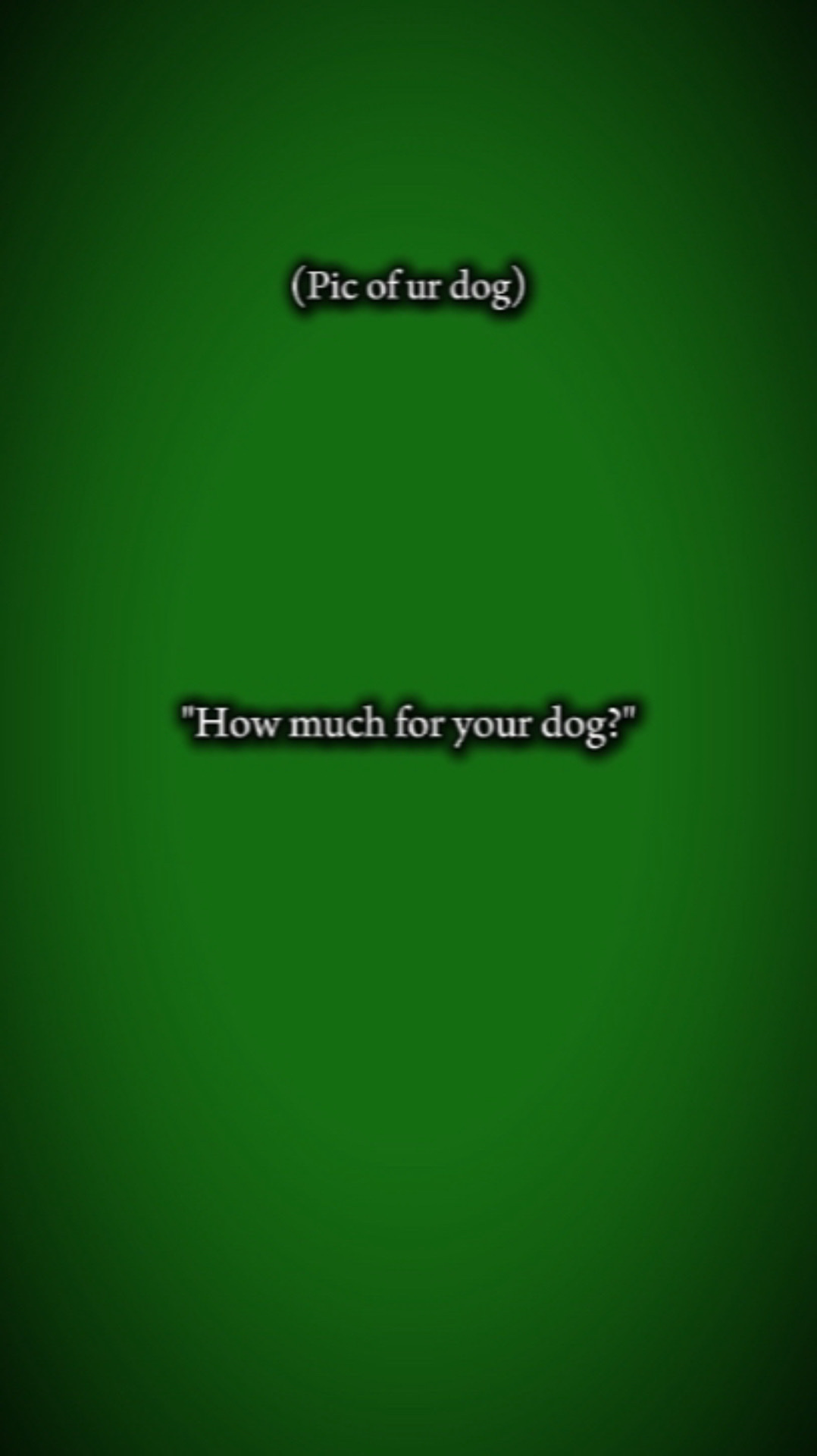 Howmuch for your dog