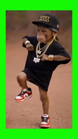 monkey hip hop 