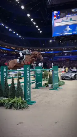 Horseriding template