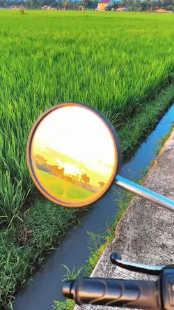 1VID FILTER HD 