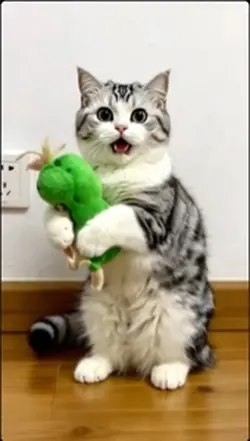 Happy cat