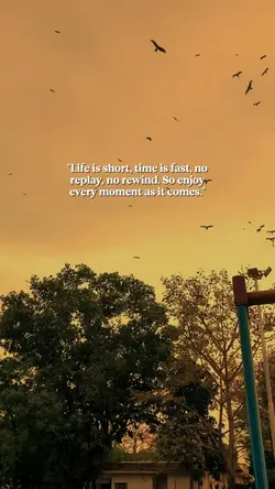Enjoy every moment