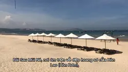 Ngắm Biển Cùng Bi