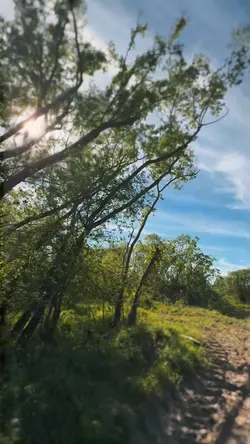 Nature is beautiful💚