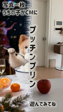 ブッチンプリンのCMにうちの子が