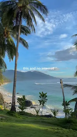 This and No internet