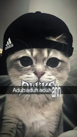 JJ 3 KLIP KECE PARAH