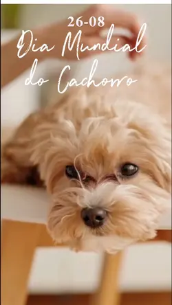 dia mundial do cacho