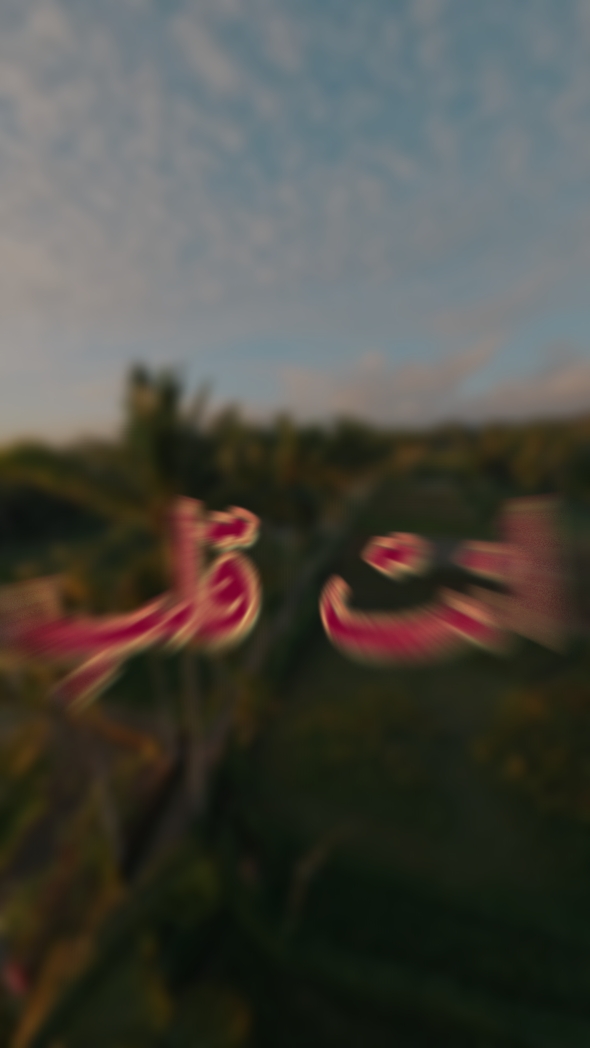 انت قلب قلبي انت