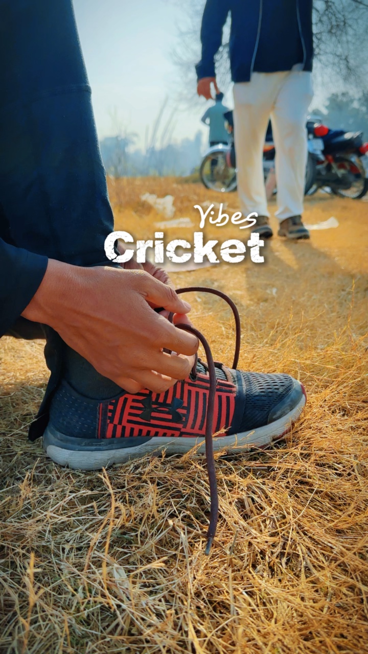 Cricket Vibes 