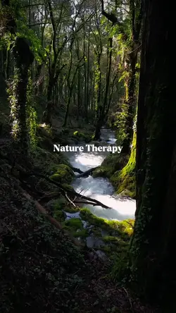 Nature Therapy