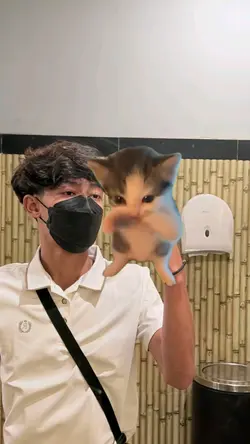 kicaww mania kucing