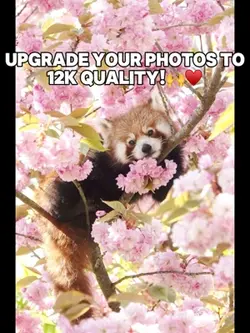 #12kquality