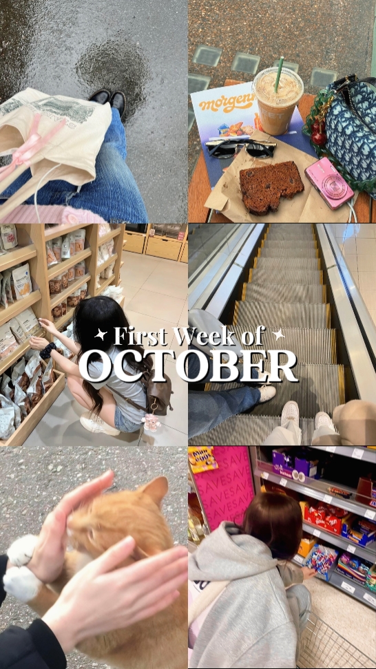 Collage de la primera semana