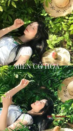 MIỀN CỎ HOA