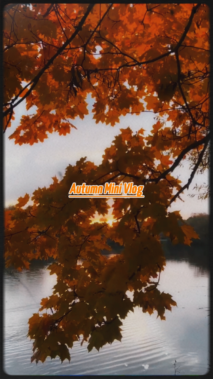 Autumn Vlog