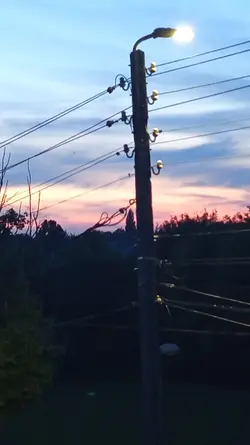 status przed szkolny