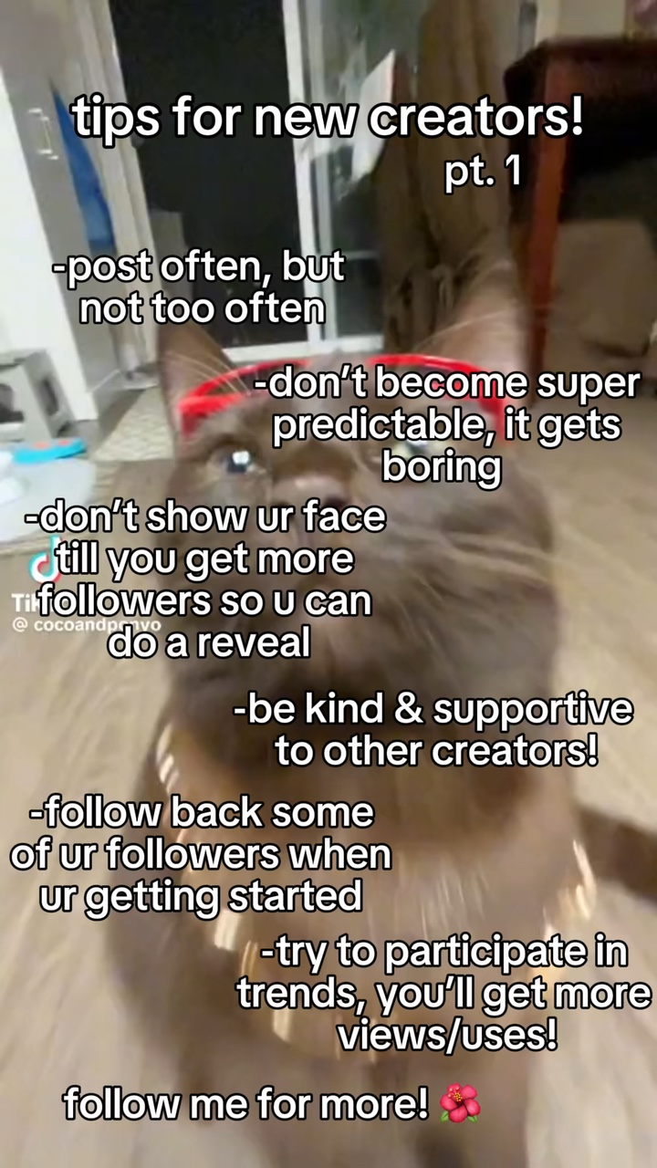 tips for creators! 💕