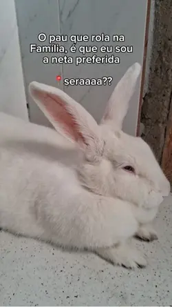 Será mesmo?🧏🏻‍♀️👀