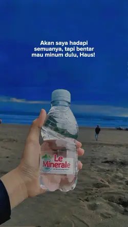 Story wa