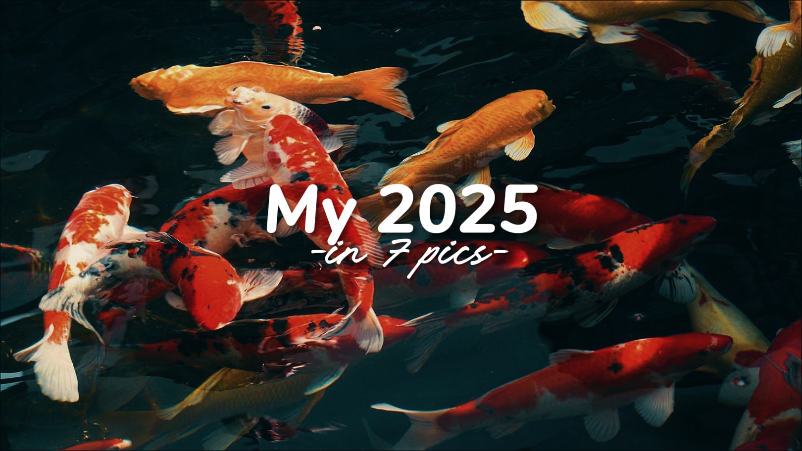 나의 2025 in 7 사진