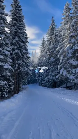 hello winter