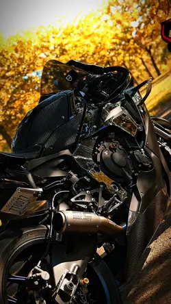 Moto/ biker