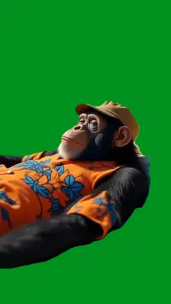 chimp chill 2