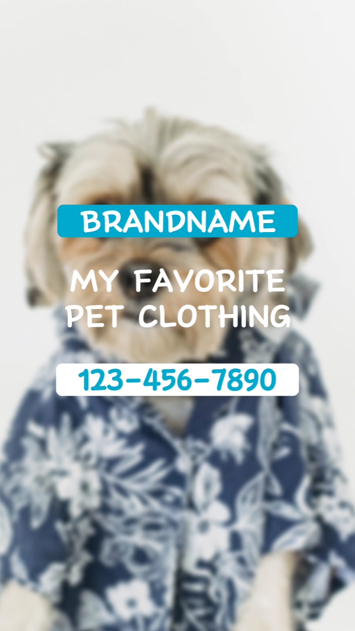 Damit ng alagang hayop, Intro simula, Beat Matching