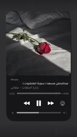 Holy Quran 