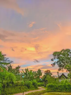 jauh ko pergi