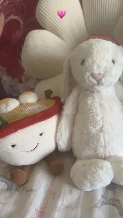 I love my jellycatss