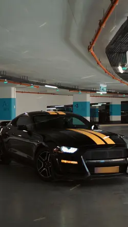 Speedramp Transition