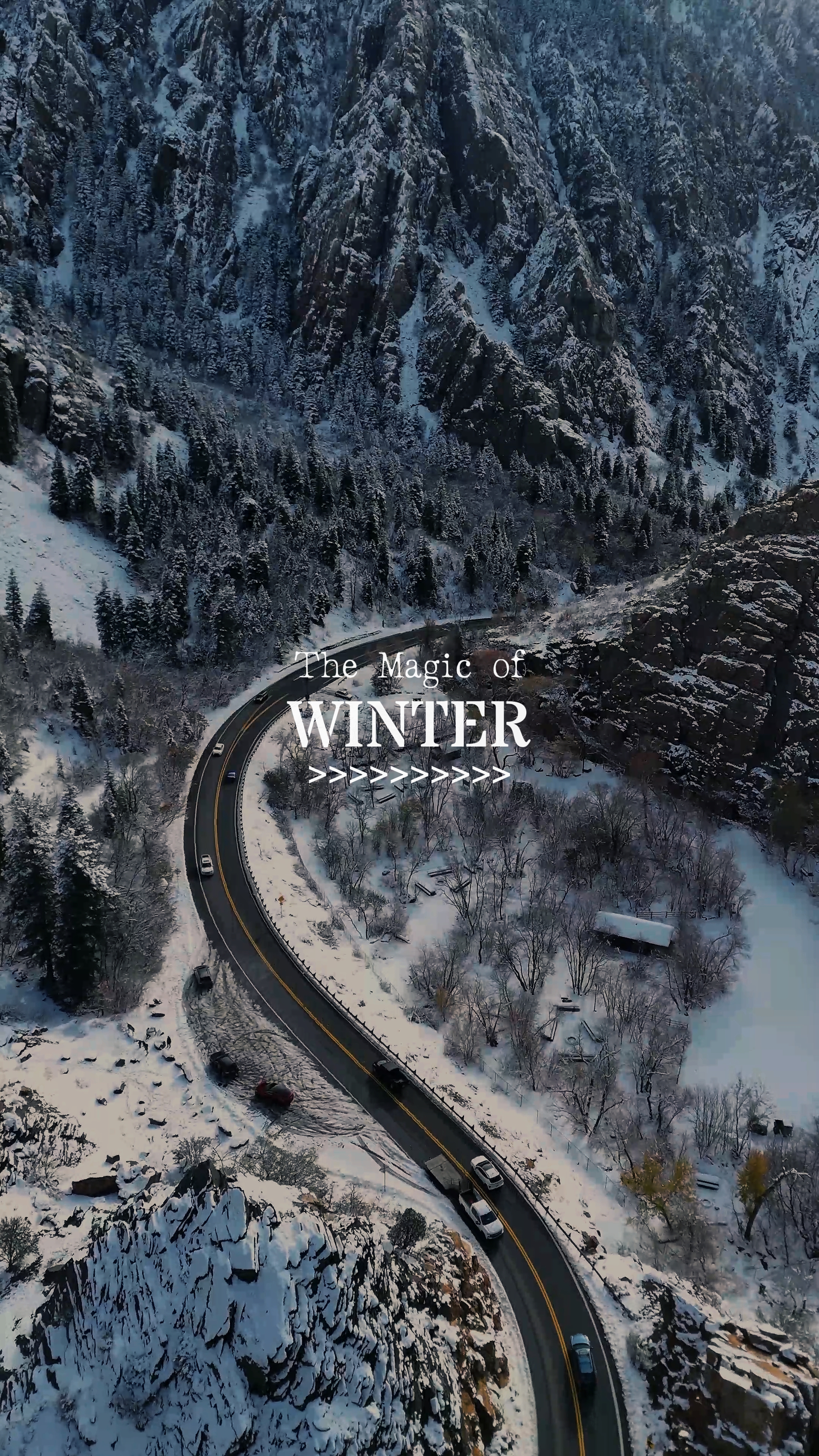 Vibraciones de invierno