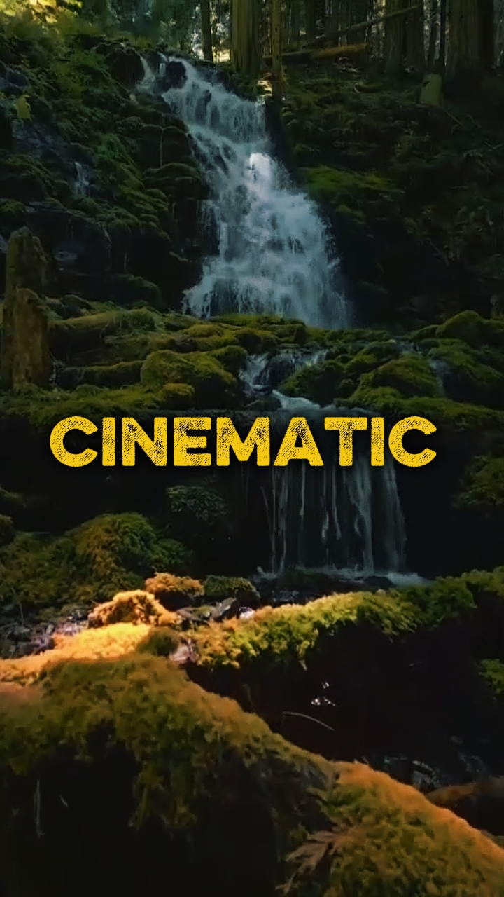 Cinématique 