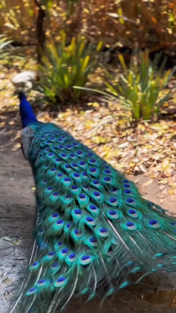 Zoo