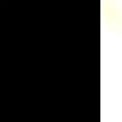 Popular Mha characte