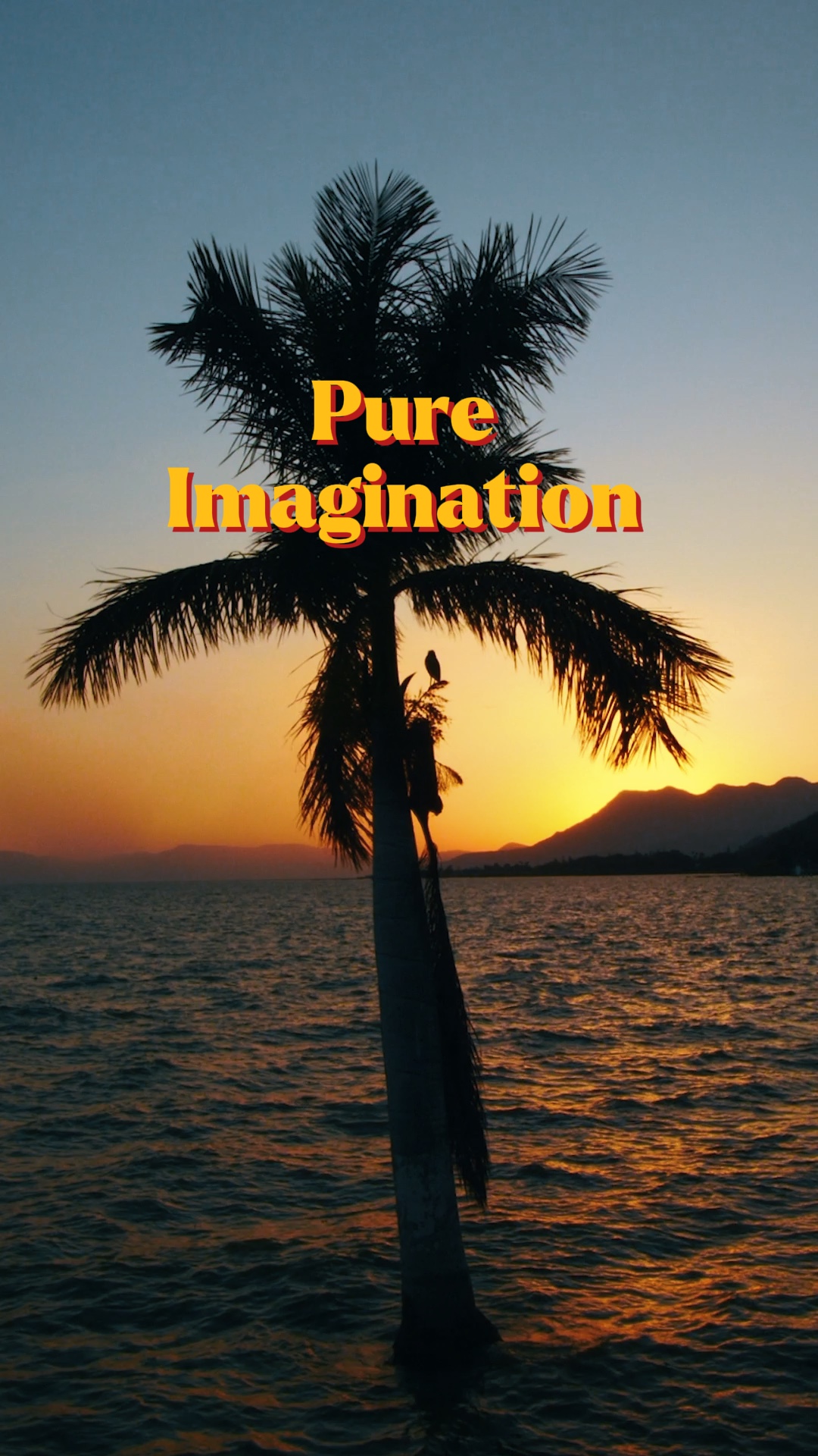 Pure imagination 🍃🌴