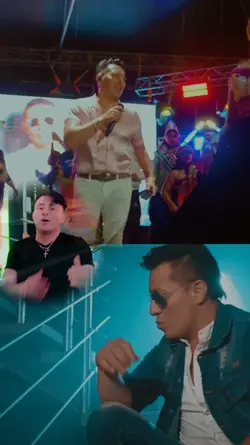 edición profesional 